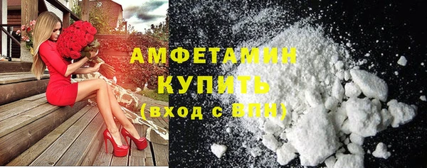 индика Володарск