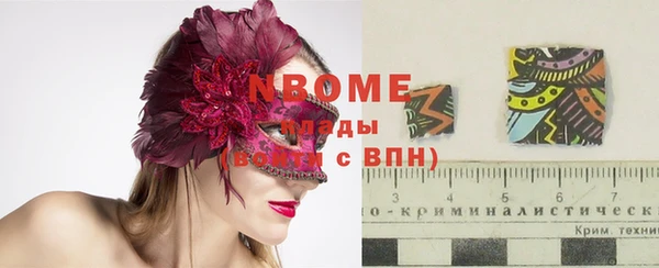 индика Володарск