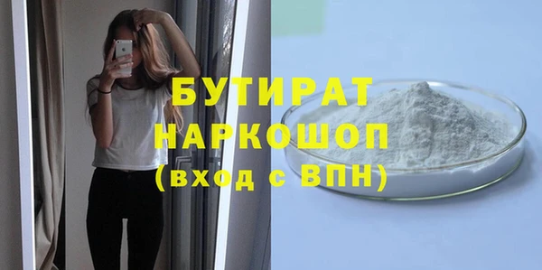 индика Володарск