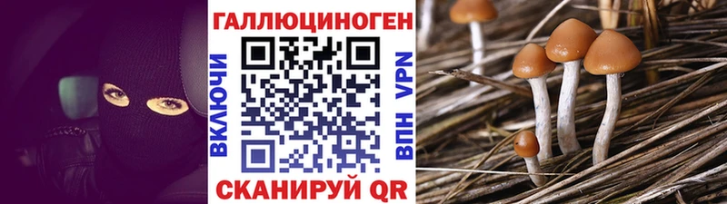 Галлюциногенные грибы мухоморы  купить наркоту  Донской 